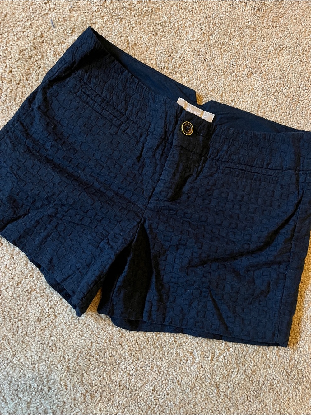 Banana Republic Navy Textured Shorts